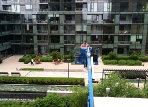 Green Roof Work
