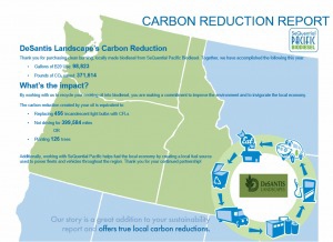 CO2 emmission report