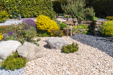 water wise garden