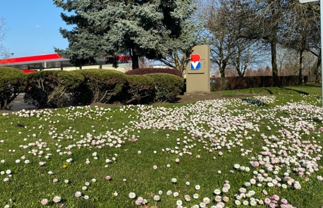 Burgerville Water Management DeSantis Landscapes