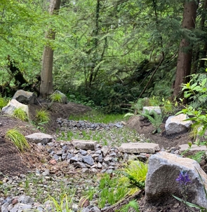Tualatin Creek