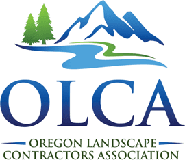 olca